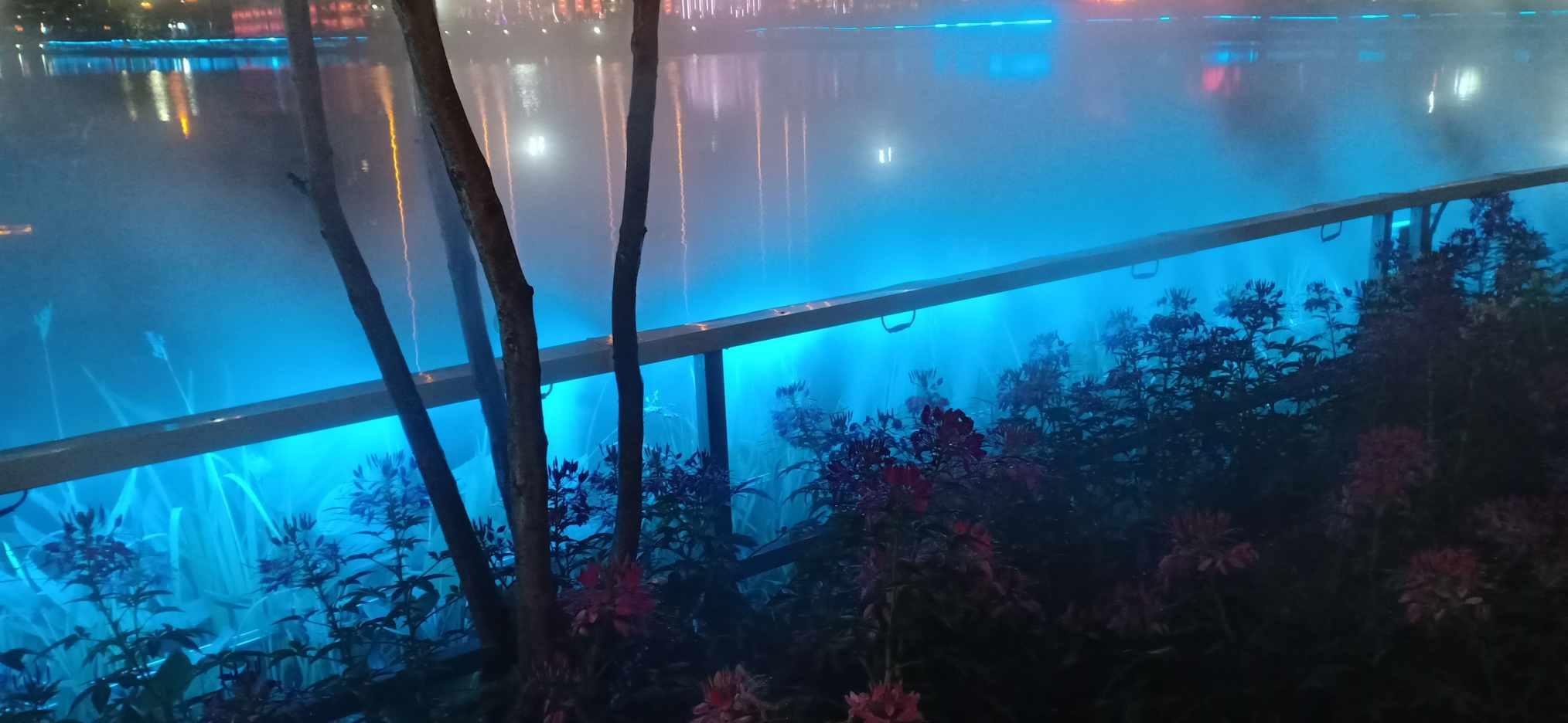 逃离诡异的森林